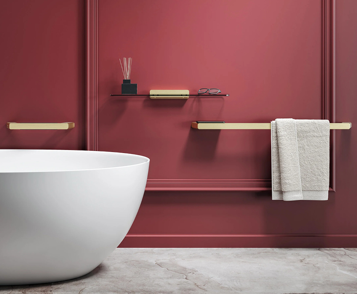 Bathroom accessories wall shelves and towel racks, on red wall